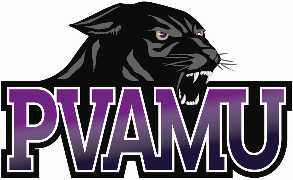 Prairie View A&M Panthers 2011-Pres Primary Logo iron on transfers for clothing